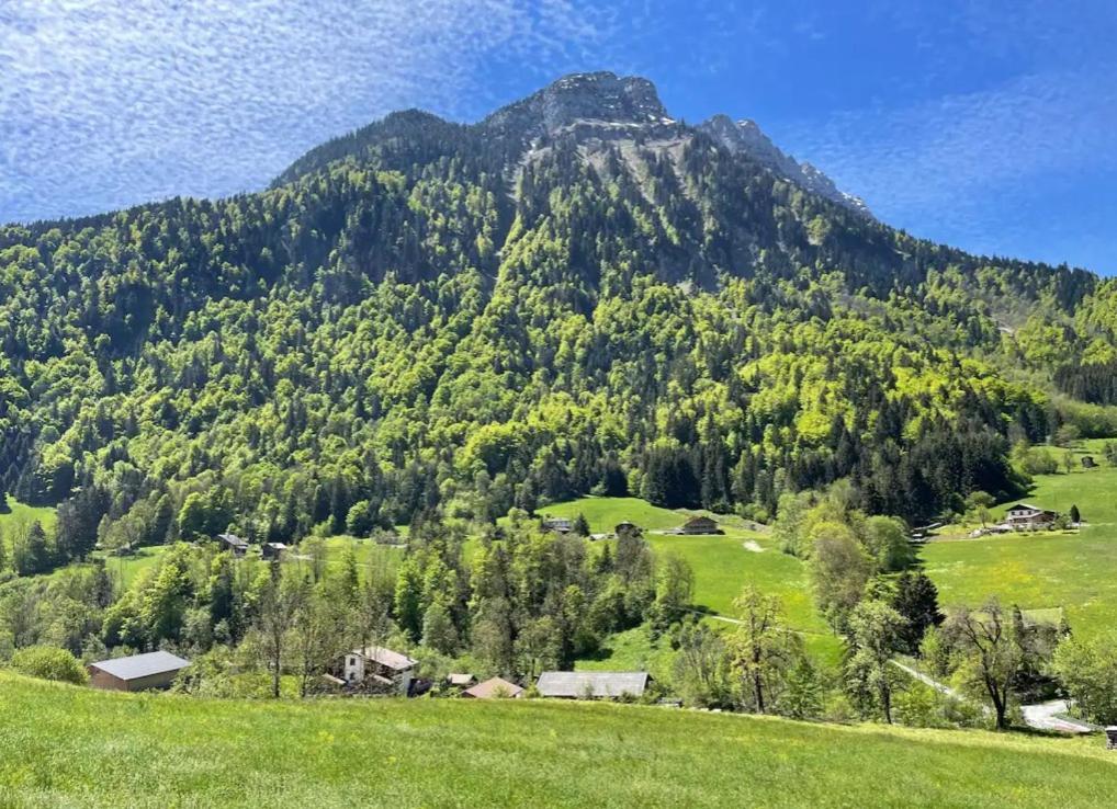 Le Chalet Des Reves - La Roche Blanche Entremont Esterno foto